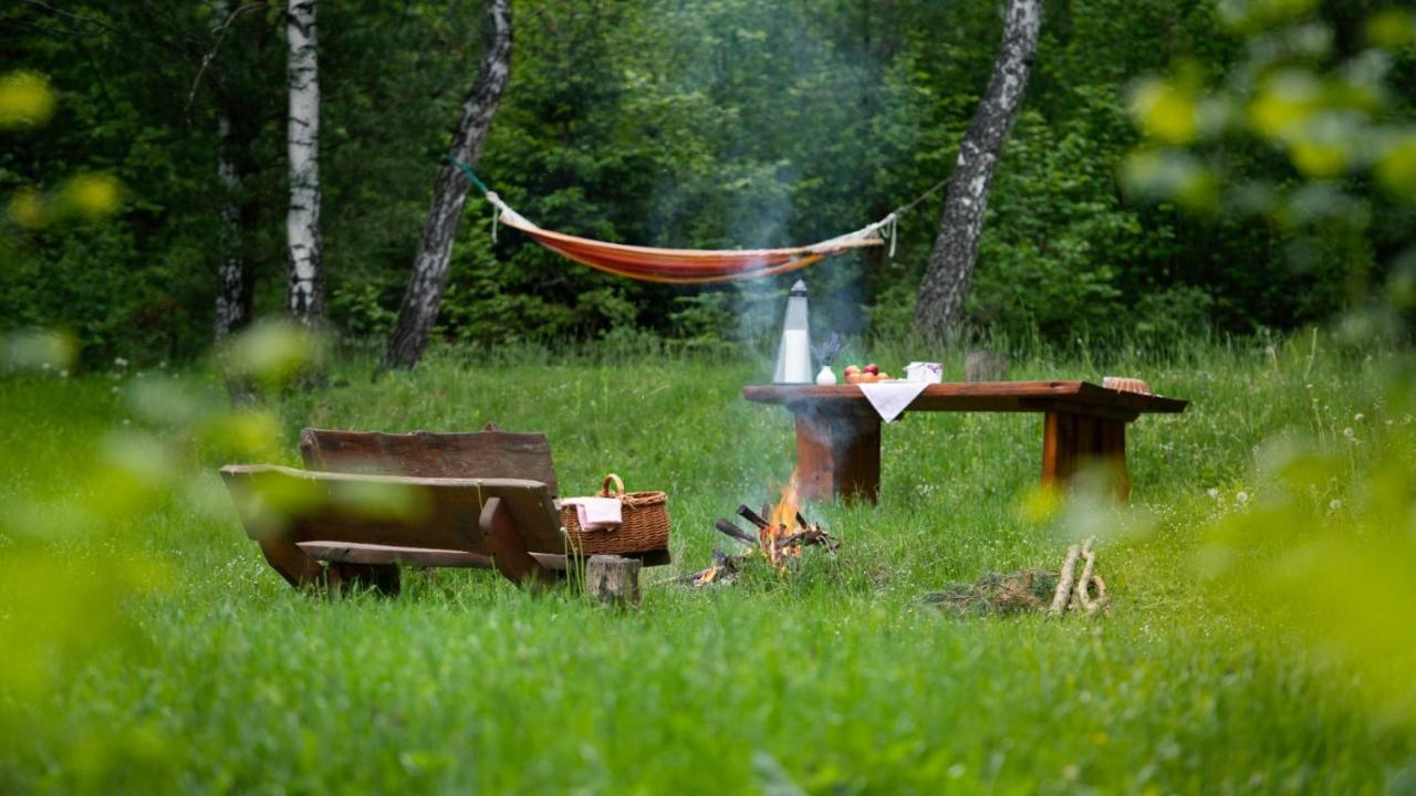 Survivalowa Chata W Lesie Bukowsko 外观 照片